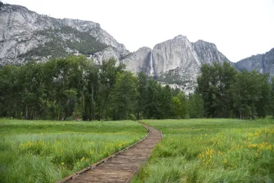 DSC_4640 (Large).JPG